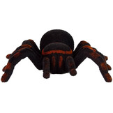 RC tarantula speelgoed - zwart - 28x19x8cm