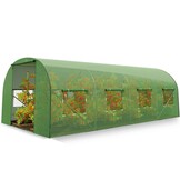 Kweektunnel - groen - 2,5x4x2 meter
