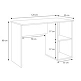 Wit bureau - hout - 120x55x80 cm