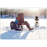 Houtkachelventilator - 4 bladen - Aangedreven door warmte