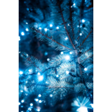 Led-kerstverlichting koud wit - 1000 LED's - 68 meter - flits 80/20