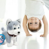 Interactieve knuffelhond - Husky - Aangelijnd