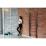 Wandrek gym - Metaal -  215 cm - 250 kg