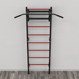 Wandrek gym - Metaal -  215 cm - 250 kg