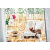 Bamboemat 200x500 cm - Bamboe - 12 mm