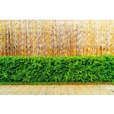 Bamboemat 200x500 cm - Bamboe - 12 mm