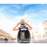 Transparante kattenrugzak - Transporter - 44 x 28 x 35 cm