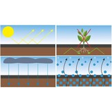 Zwart worteldoek - 1,6 x 100 m - 70 g/m2 - onkruiddoek