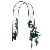 Rozenboog - zwart - metaal - 110x39x230cm