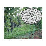 Vogelnet 8x25m - 15g/m2