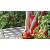 Verhoogde moestuinbak - Rechthoekig - Verzinkt - 140x60x30 cm