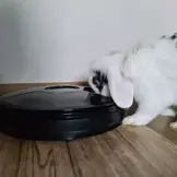 Automatische voerbak kat - voerautomaat - 6 bakjes - 150 ml