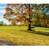 Nestschommel - 100x100x170cm - tot 150kg - zwart