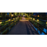 Solar tuinverlichting - 12 stuks - zwart - IP44 waterdicht - automatisch bij duisternis