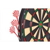 Elektronisch dartbord - LCD-display - 43x37,8x2 cm - 18 spellen