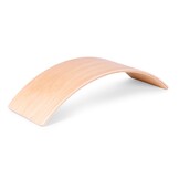 Professioneel Balansbord voor Motorische Ontwikkeling - Kinderfysiotherapie Speelgoed 3+