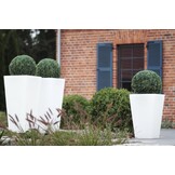 Multifunctionele Hoge Plantenbak - Binnen/Buiten - Onderhoudsarm