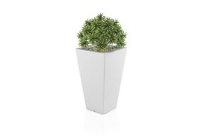 Professionele Plantenbak - Zakelijk Gebruik - Hotel & Kantoor