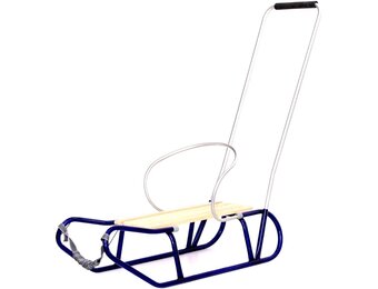 Veilige Familieslee met Rugleuning - Metalen Constructie - Inclusief Duwstang - Blauw