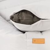 Veelzijdige Binnen/Buiten Hondenmand - Waterdicht en Comfortabel