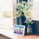 Tuinweerstation met Vorstmelder - Temperatuur en Vocht Monitor voor Tuin en Kas