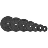 Heavy-Duty Gietijzeren Halterschijf - 15 kg - Professionele Serie