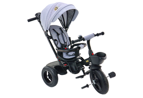 3-Wieler Kinderfiets met Oudersteun - Stevige Constructie - 2-5 jaar