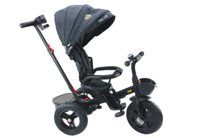 Multifunctionele Peuter Driewieler - Verstelbaar en Praktisch