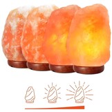Premium Himalaya Zoutlamp XXL | Dimbaar | Complete Set met Houten Standaard