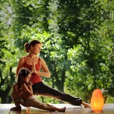 Premium Himalaya Zoutlamp XXL | Dimbaar | Complete Set met Houten Standaard