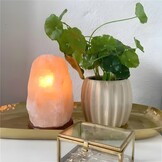 Premium Himalaya Zoutlamp XXL | Dimbaar | Complete Set met Houten Standaard