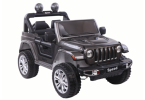 Zilveren Kinderauto kopen?