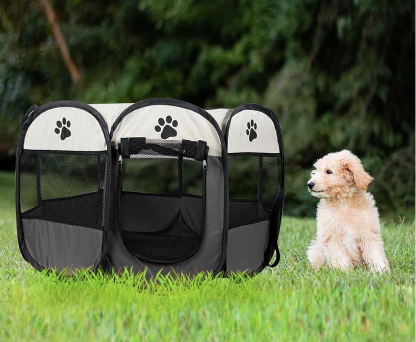 Compacte Huisdierbox - Ruimtebesparend Opvouwbaar - Voor Hond en Kat