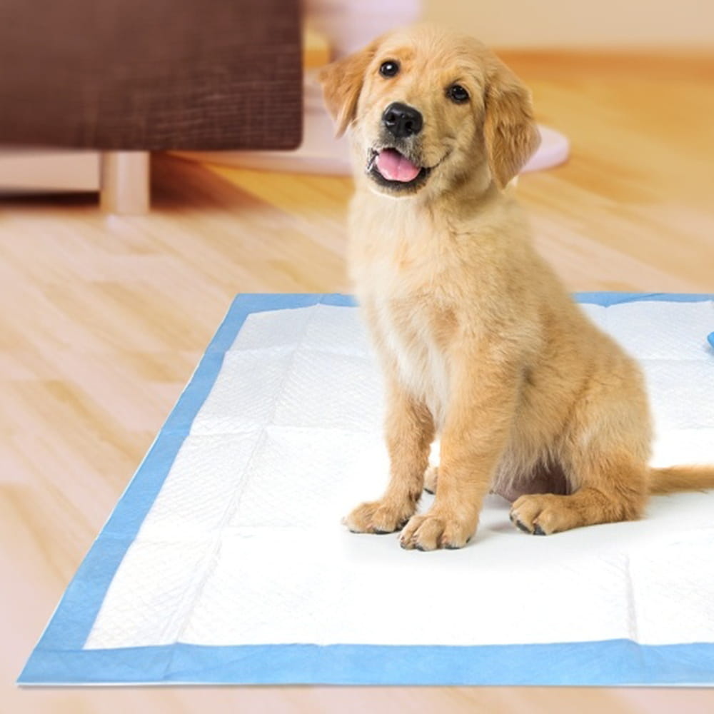 Honden plasmat - 60x60 cm - wit/blauw - geurverminderend