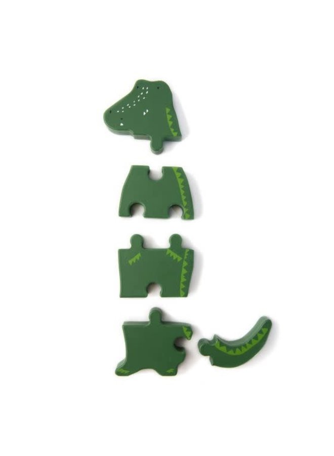 Wooden body puzzle- Mr.Crocodile