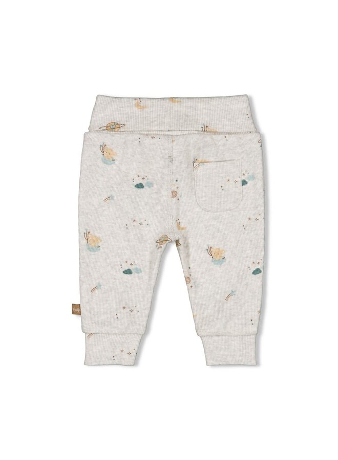 Broek AOP - Universe Grijs melange