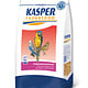 KASPER - ZANGZAAD/KANARIEZAAD 4 KG