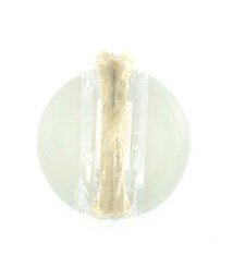 Bot 10,5 inch 25cm