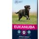 Eukanuba EUKANUBA - PUPPY&JUNIOR LARGE BREED 12 KG KIP
