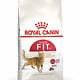 Royal Canin Royal Canin- Fit 32 4KG