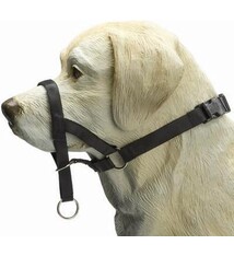 BeezTees BeezTees- Dog Control M Zwart