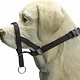 BeezTees BeezTees- Dog Control M Zwart