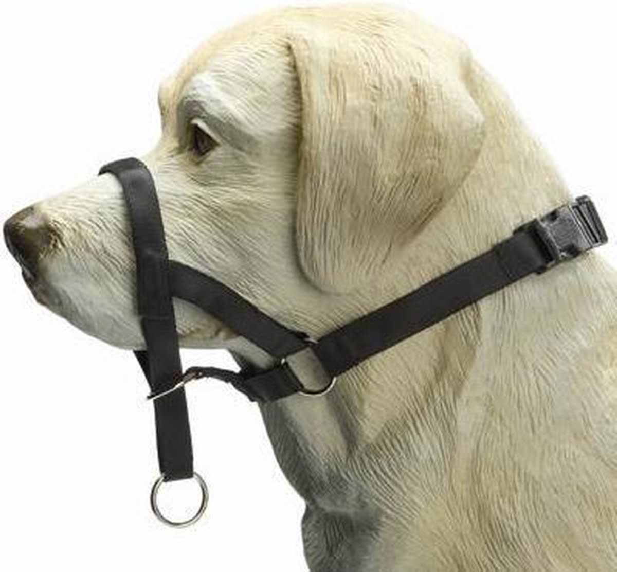 BeezTees BeezTees- Dog Control M Zwart