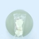 Witte knoop 6-7inch (16cm) 1st