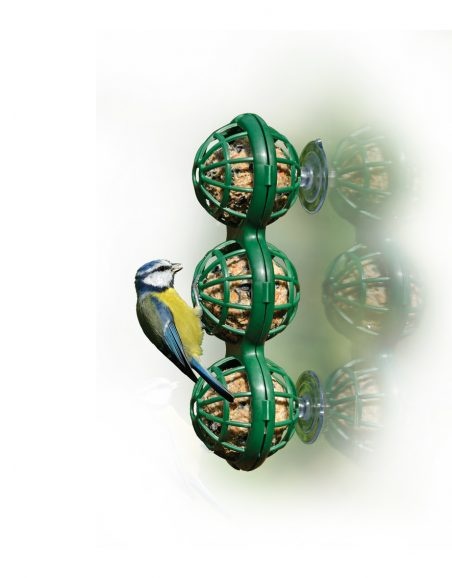 raamfeeder mezenbol