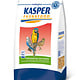 KASPER - PARKIETENZAAD VOOR GROTE PARKIETEN 4 KG