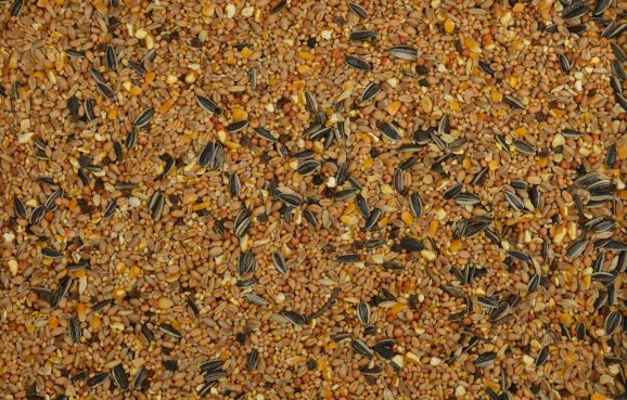 TWEETFEED Strooivoer 2.5 KG