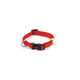 BeezTees BeezTees- Nylon halsband Rood