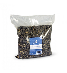 Competition COMPETITION - GESTREEPTE PITTEN 2,5 KG