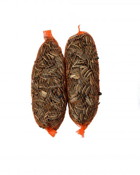 Wielink Zonnepitnetjes 100g